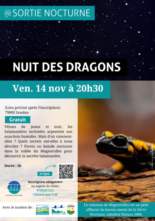 Nuit des Dragons : le vendredi 14 novembre à 20h30