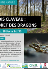 Sortie nature le 18 février : forêt des dragons