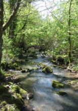 Natura 2000 : Lettre d&rsquo;information